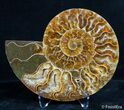 Inch Split Ammonite Pair #2635-3